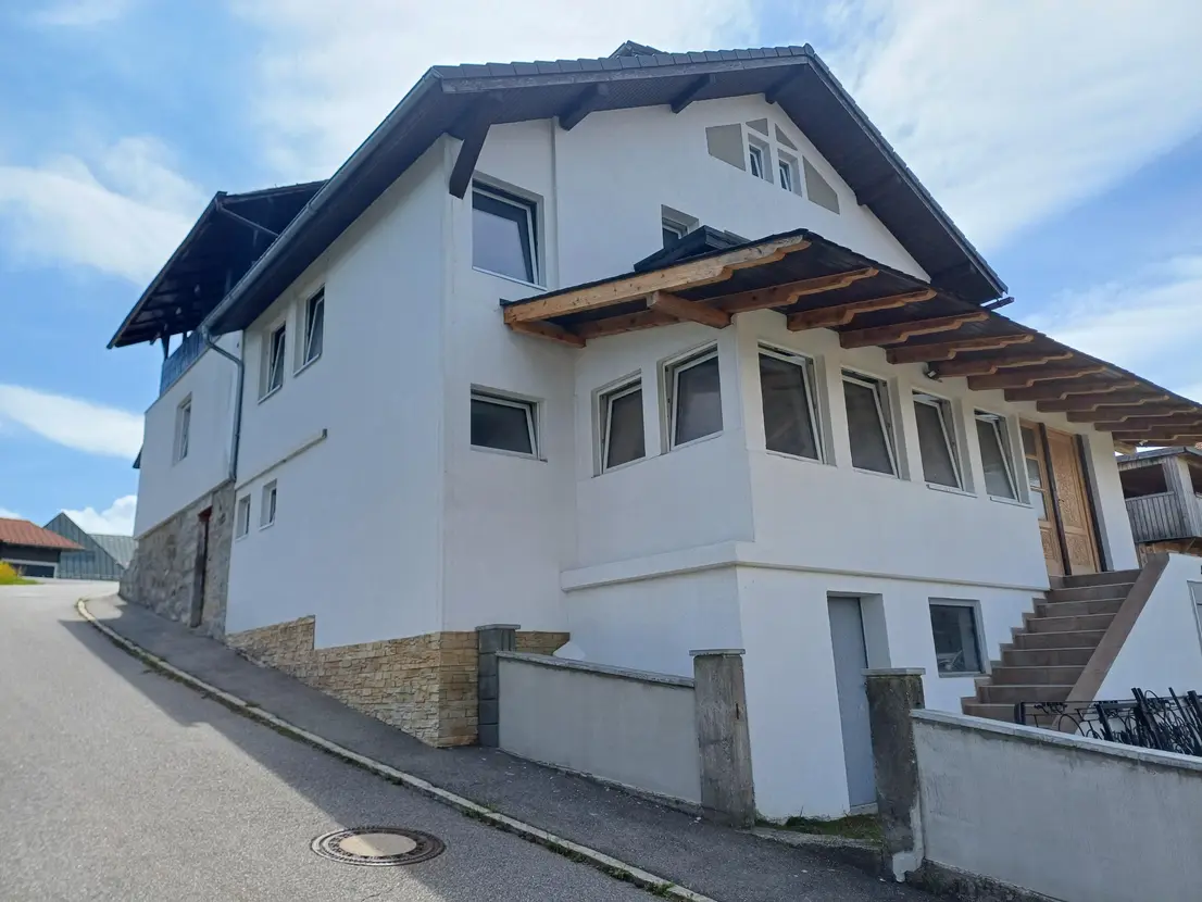 Renovare Case în Germania 1