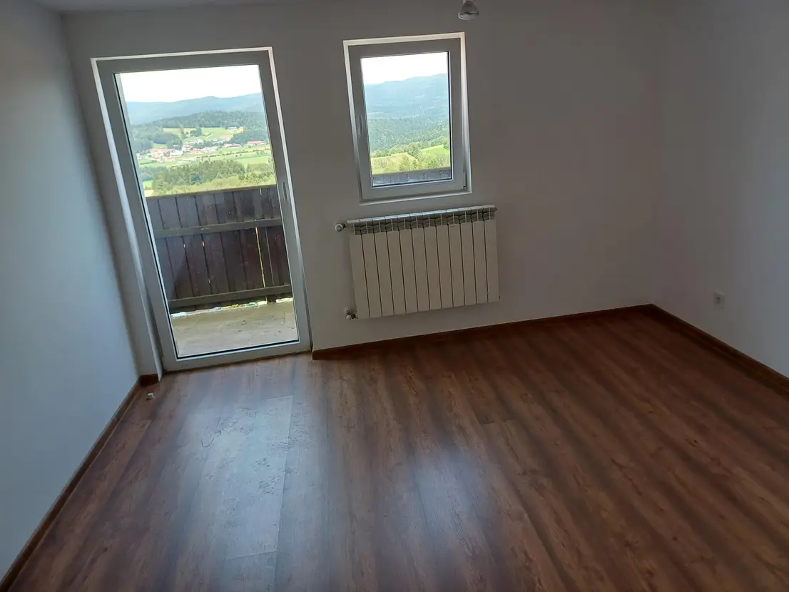 Renovare Case în Germania 6